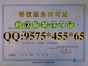 餐饮服务许可证解析与档案外包服务承接指南