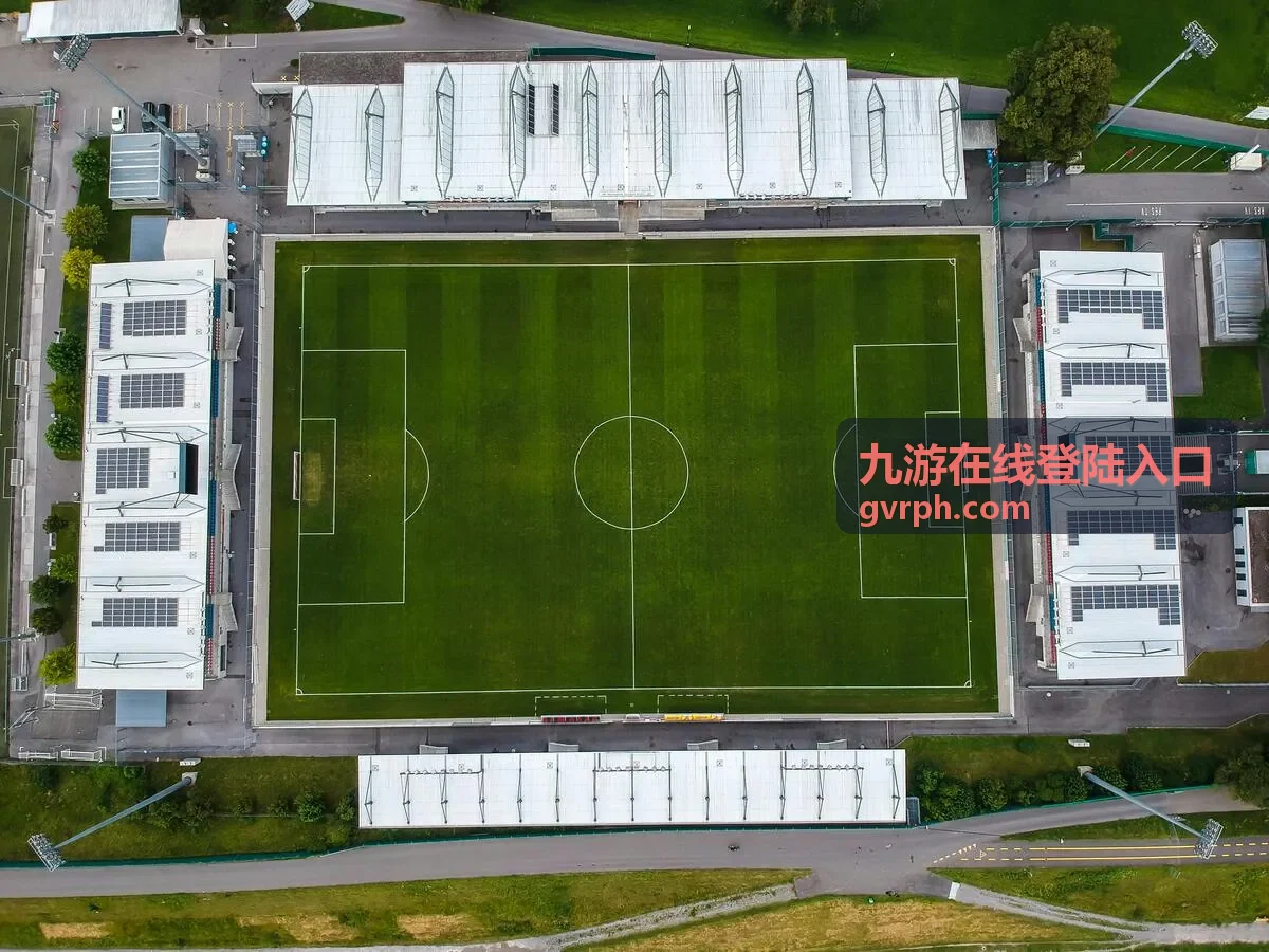 九游在线登陆入口版本差异对照卡片封面